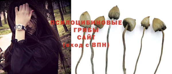 прущие крисы Аркадак