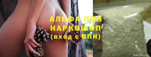 прущие крисы Аркадак
