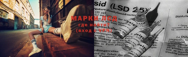 прущие крисы Аркадак