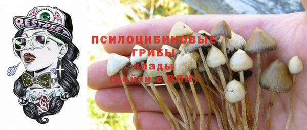 ГАЛЛЮЦИНОГЕННЫЕ ГРИБЫ Армянск